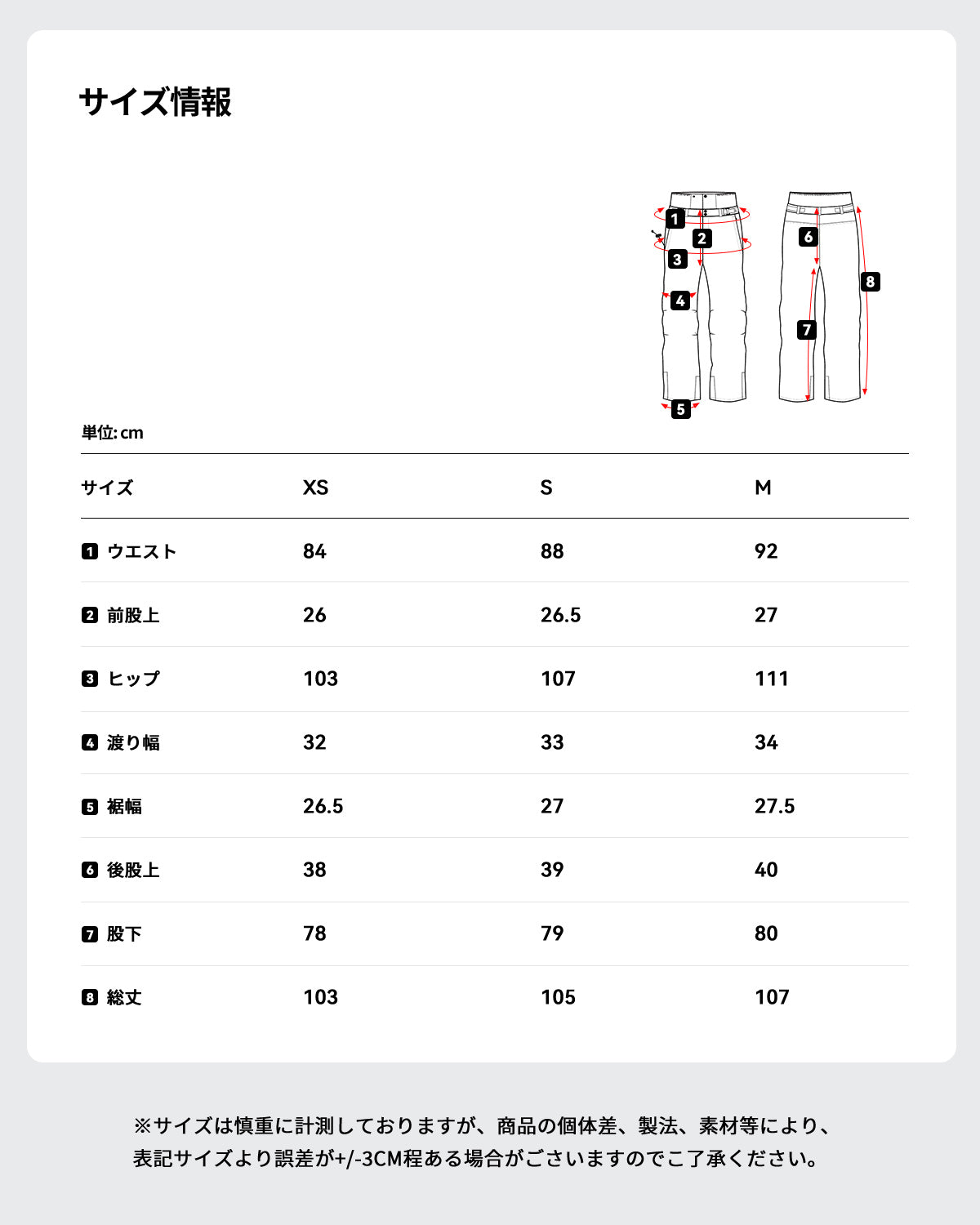 スキー スノーボード ウェア 上下セット レディースal-ss2101-w